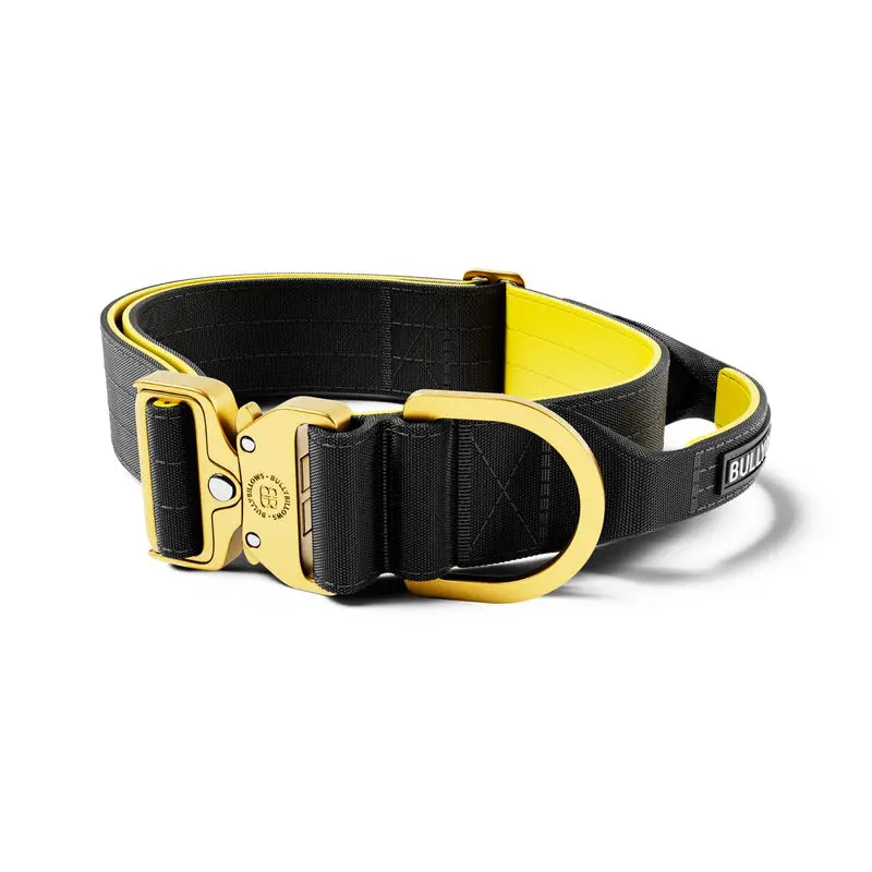 BullyBillows - 5CM LIGHTER COMBAT® COLLAR | WITH HANDLE RATED CLIP - BLACK, YELLOW & GOLD BullyBillows