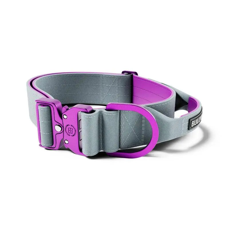 BullyBillows - 5CM LIGHTER COMBAT® COLLAR | WITH HANDLE RATED CLIP - PURPLE & METAL GREY - PAWMART.ca