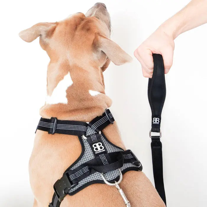 BullyBillows - ACTIVE HARNESS | WITH HANDLE - PADDED LINING & HIGHLY REFLECTIVE - BLACK BullyBillows