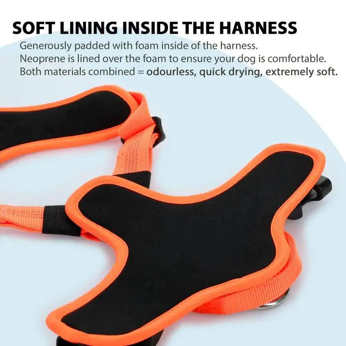 BullyBillows - ACTIVE HARNESS | WITH HANDLE - PADDED LINING & HIGHLY REFLECTIVE - ORANGE - PAWMART.ca