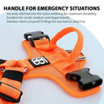 BullyBillows - ACTIVE HARNESS | WITH HANDLE - PADDED LINING & HIGHLY REFLECTIVE - ORANGE - PAWMART.ca