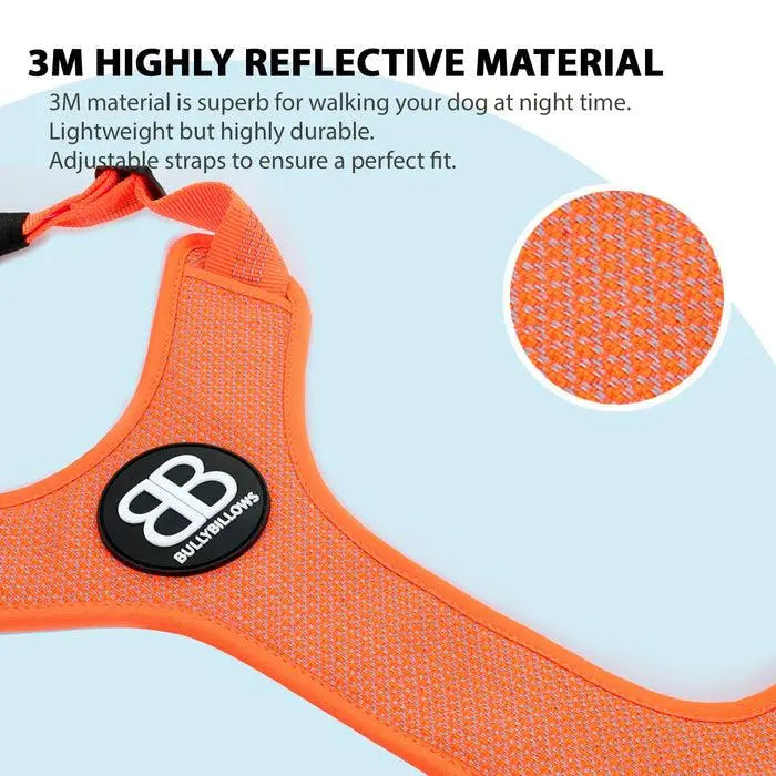 BullyBillows - ACTIVE HARNESS | WITH HANDLE - PADDED LINING & HIGHLY REFLECTIVE - ORANGE - PAWMART.ca