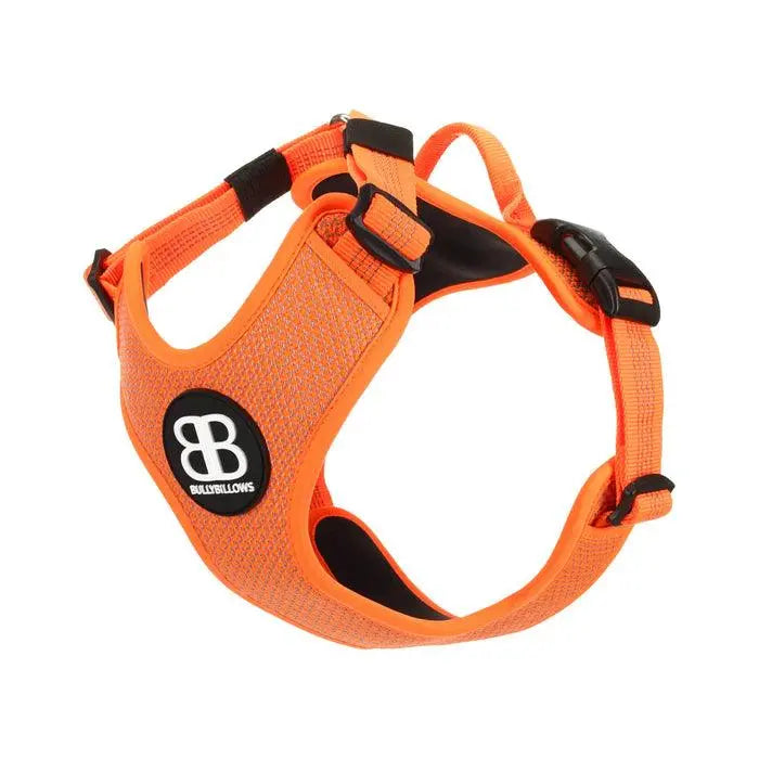 BullyBillows - ACTIVE HARNESS | WITH HANDLE - PADDED LINING & HIGHLY REFLECTIVE - ORANGE - PAWMART.ca