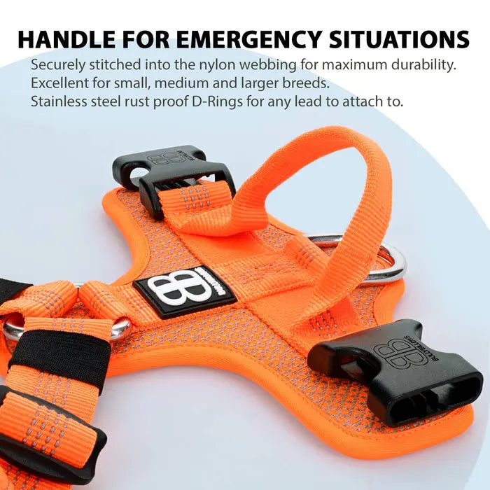 BullyBillows - ACTIVE HARNESS | WITH HANDLE - PADDED LINING & HIGHLY REFLECTIVE - ORANGE BullyBillows