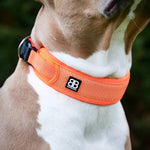 BullyBillows - ACTIVE SLIP N' CLIP COLLAR - ORANGE - PAWMART.ca