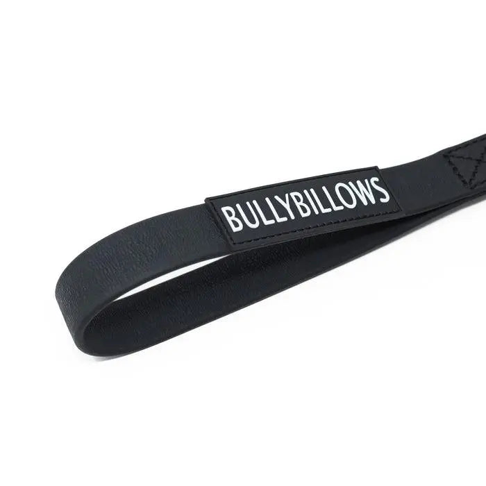 BullyBillows - BILLOWTHANE® RECALL LEAD - 10M | WATERPROOF & ANTI-RUST - MATTE PLATINUM | SERIES 2 - PAWMART.ca