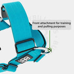 BullyBillows - TRI-HARNESS® | ANTI-PULL, ADJUSTABLE & DURABLE - DOG TRAINERS CHOICE - LIGHT BLUE V2.0 - PAWMART.ca