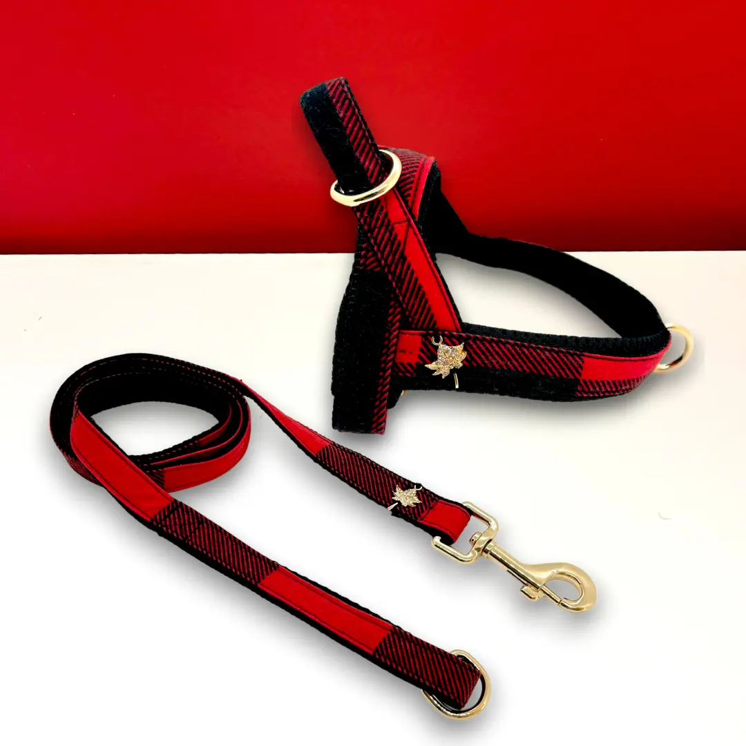 Canada leash with hands-free extension Puccissimé Pet Couture