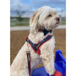 Cardinal One-Click Dog Harness Puccissimé Pet Couture