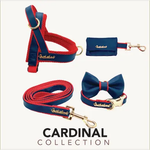 Cardinal collar Puccissimé Pet Couture