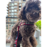 Carnegie Plaid Red One-Click Dog Harness Puccissimé Pet Couture