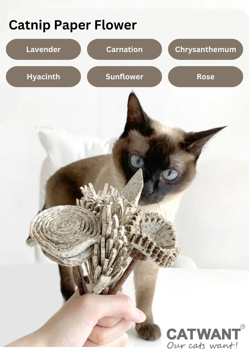 Catnip Paper Flower CATWANT