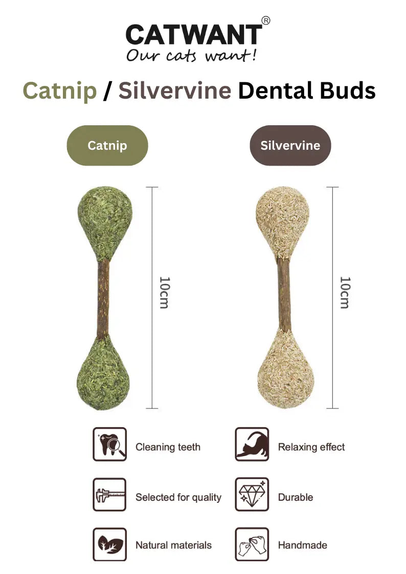 Catnip / Silvervine Dental Buds CATWANT