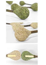 Catnip / Silvervine Dental Buds CATWANT