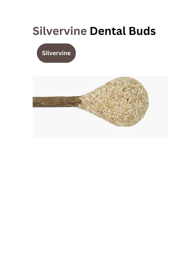 Catnip / Silvervine Dental Buds CATWANT