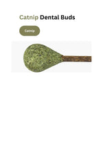 Catnip / Silvervine Dental Buds CATWANT