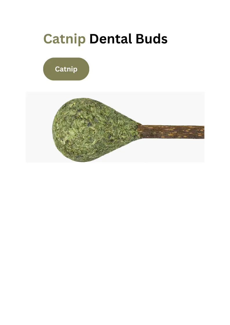 Catnip / Silvervine Dental Buds CATWANT