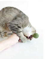 Catnip / Silvervine Lollipop CATWANT
