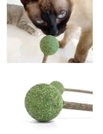 Catnip / Silvervine Lollipop CATWANT