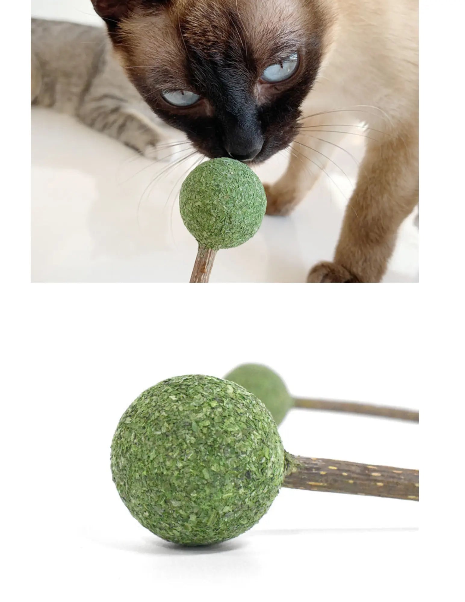 Catnip / Silvervine Lollipop CATWANT