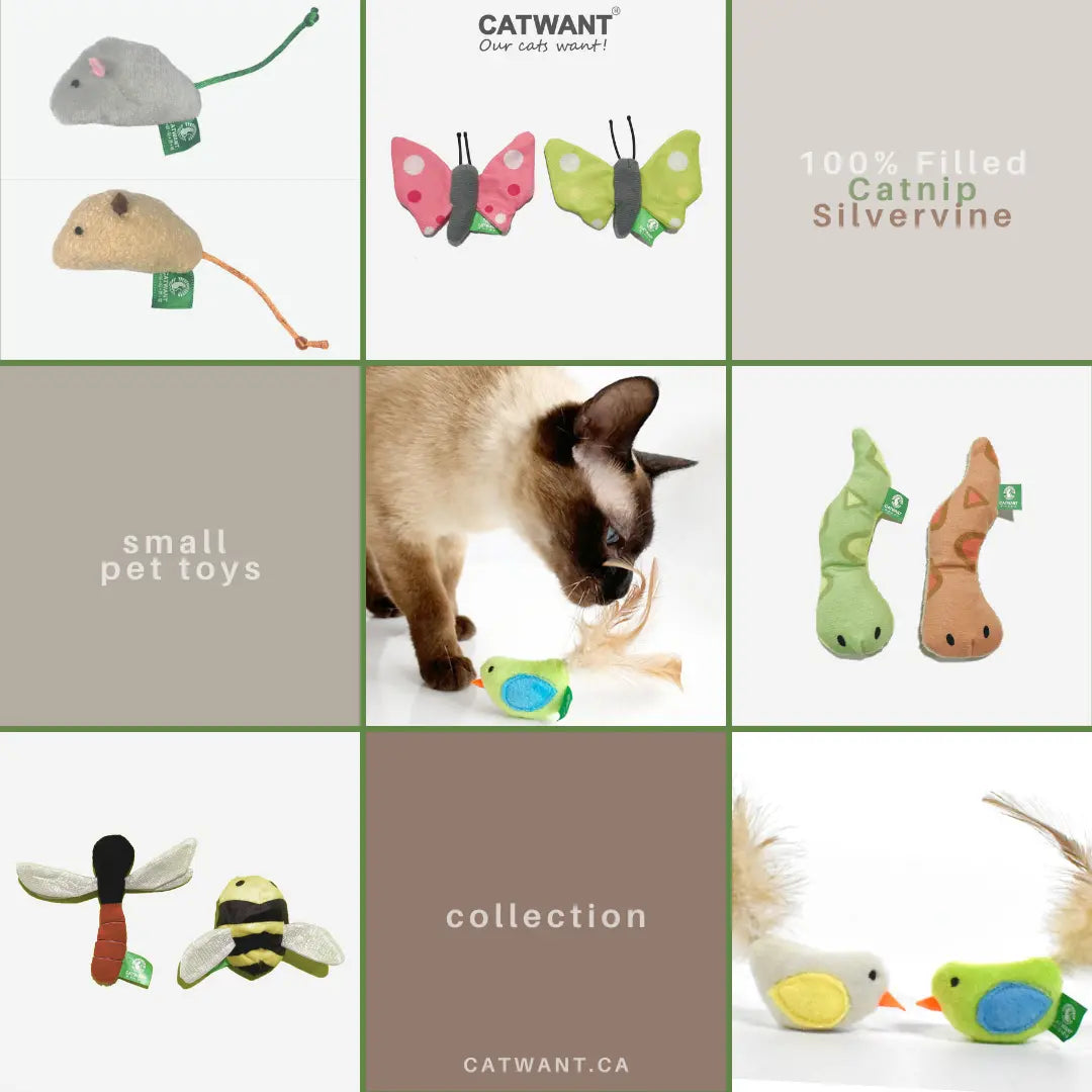 Catnip/Silvervine Small Pet Toys CATWANT
