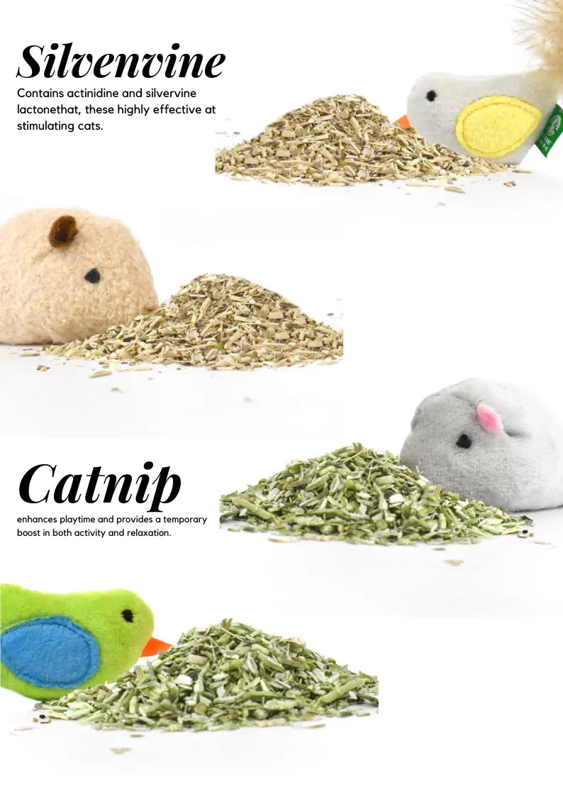 Catnip/Silvervine Small Pet Toys CATWANT