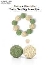 Catnip / Silvervine Teeth Cleaning Beans 5pcs CATWANT