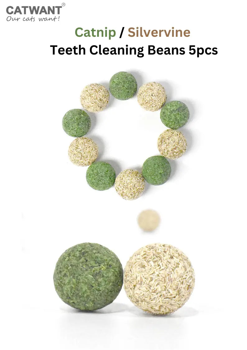 Catnip / Silvervine Teeth Cleaning Beans 5pcs CATWANT