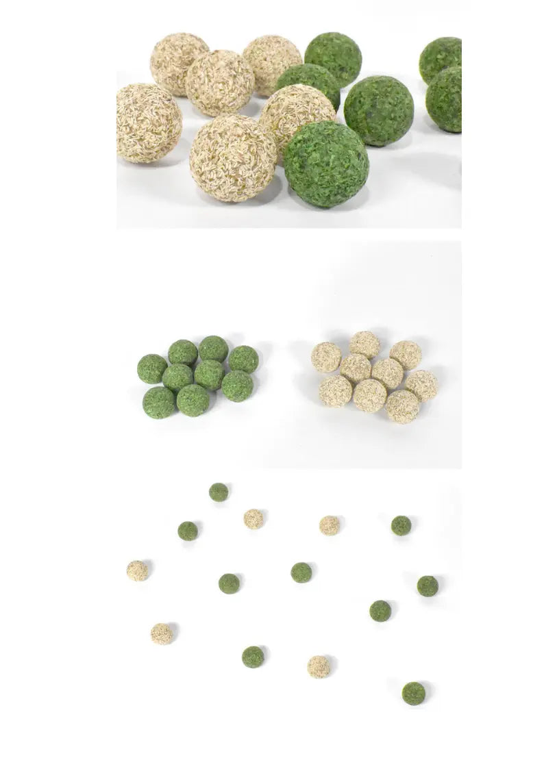 Catnip / Silvervine Teeth Cleaning Beans 5pcs CATWANT