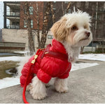 Cherry Red Leather One-Click Dog Harness Puccissimé Pet Couture