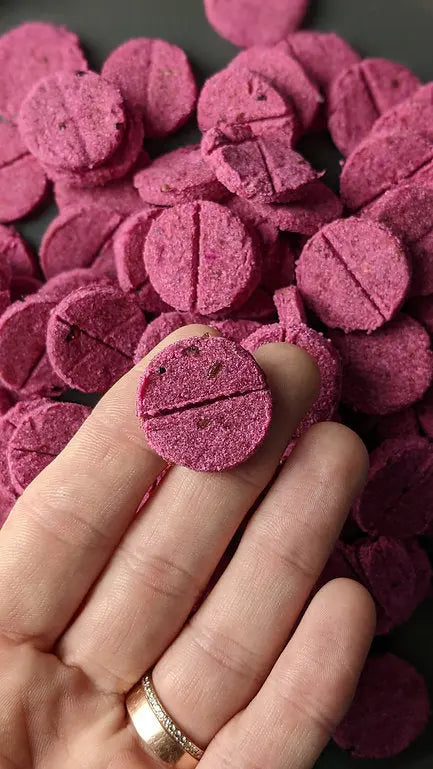 Chester's  dog treats - Dragon Fruit - Dog treats Chester treats