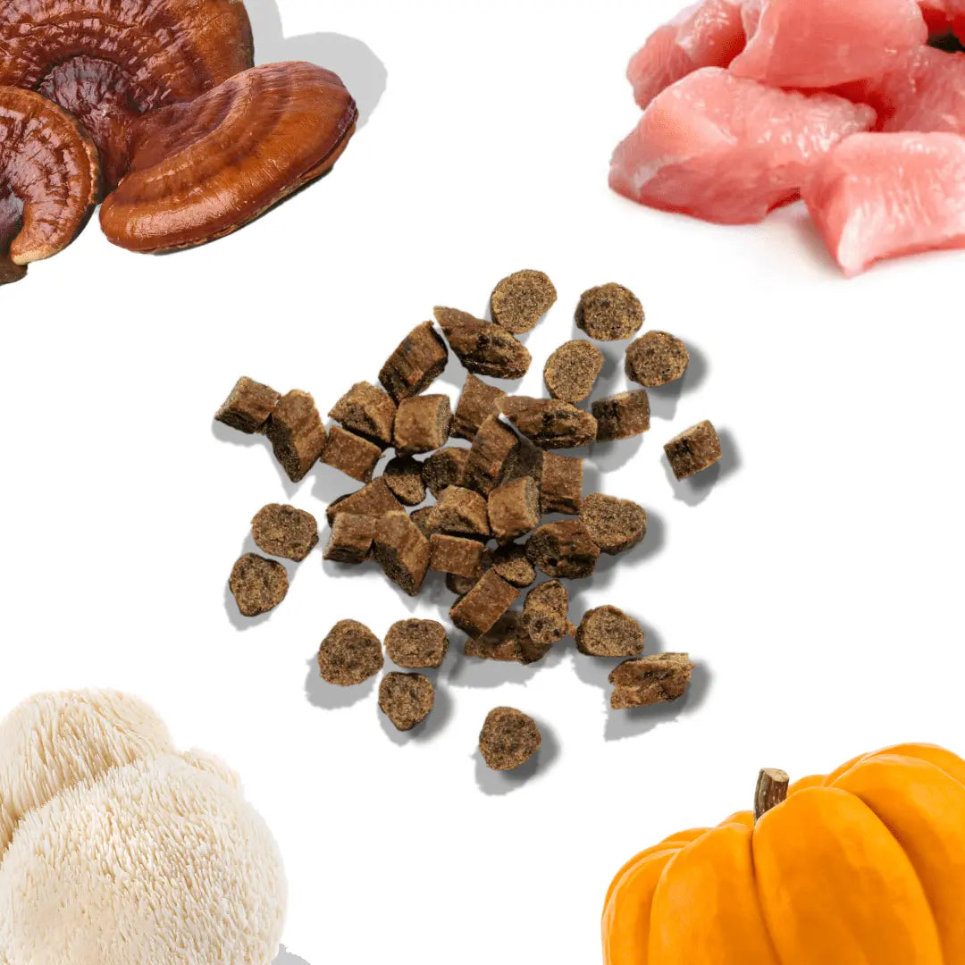 Chicken Mini Training Treats healthybud