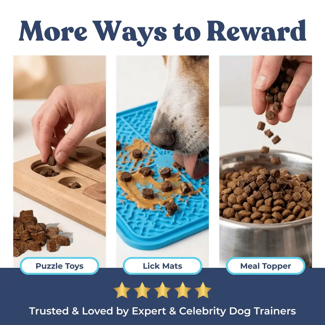 Chicken Mini Training Treats healthybud