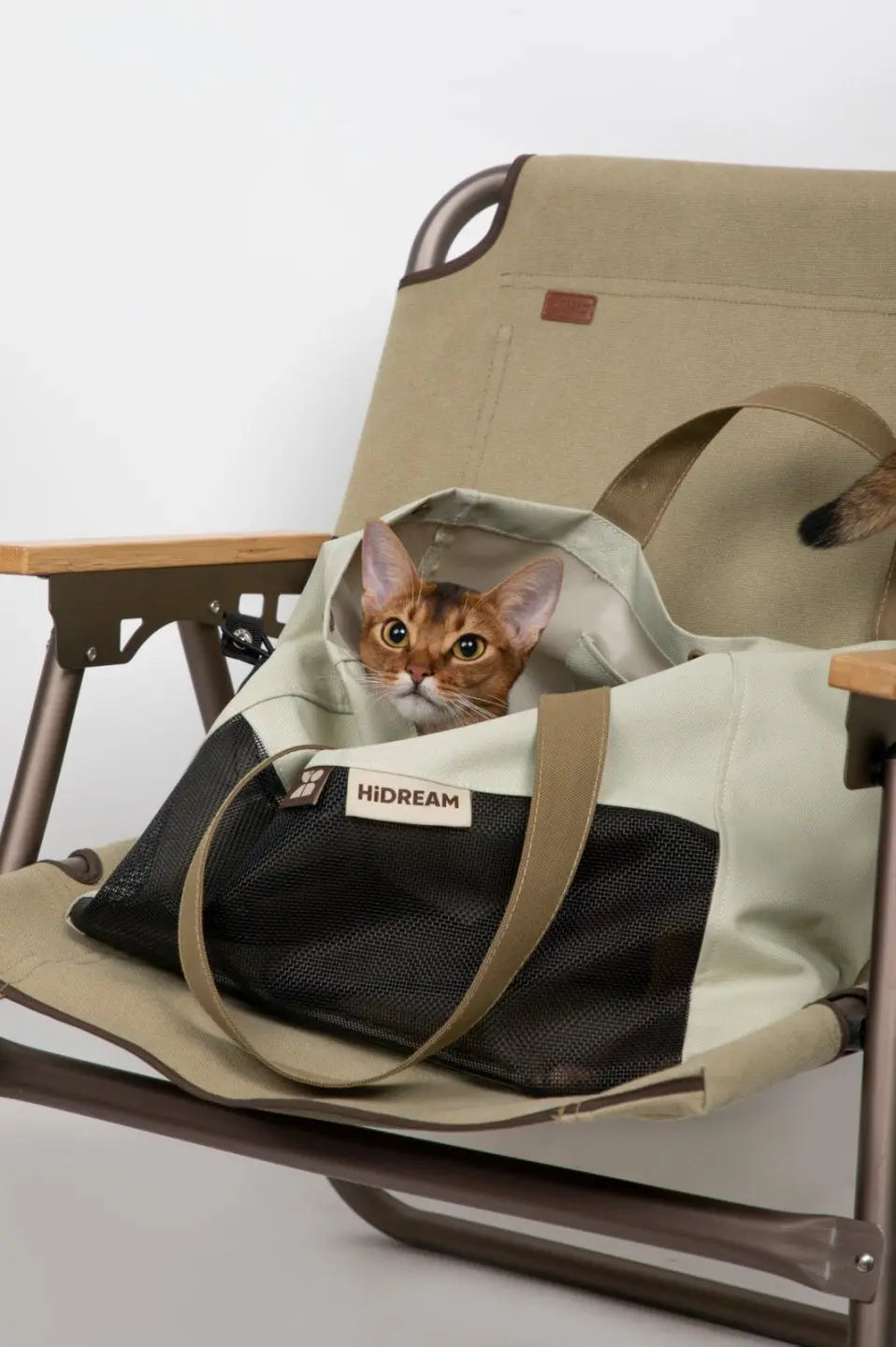 Color-Block Shoulder Pet Travel Bag | Momopets™ GoBuddy Series Momo Pets