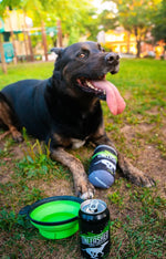 Crafty Beasts - UNLEASHED Hydrating Energy Brew - Beer For Dog Crafty Beasts