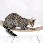 Design Katzenmöbel LE DIVAN - PAWMART.ca