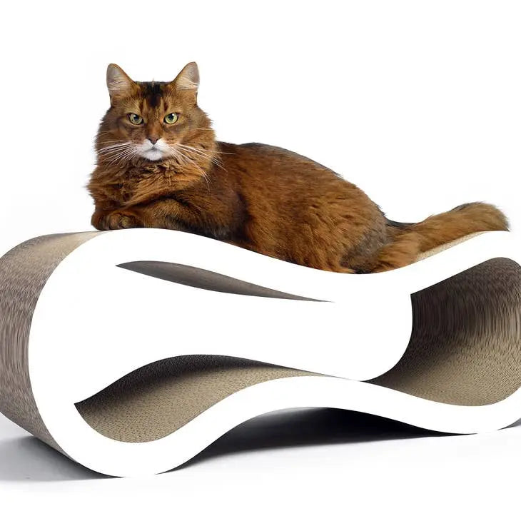 Design Katzenmöbel SINGHA L cat-on