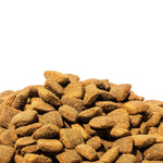 Dienon - Medium Breeds Adult Dogs - Dog Food - PAWMART.ca