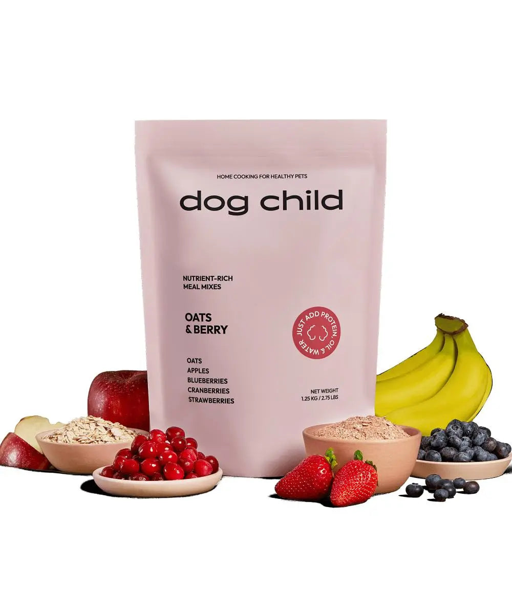 Dog Child - Organic Oats & Berries Meal Mix For Dogs - Mix Meal For Dogs - PAWMART.ca