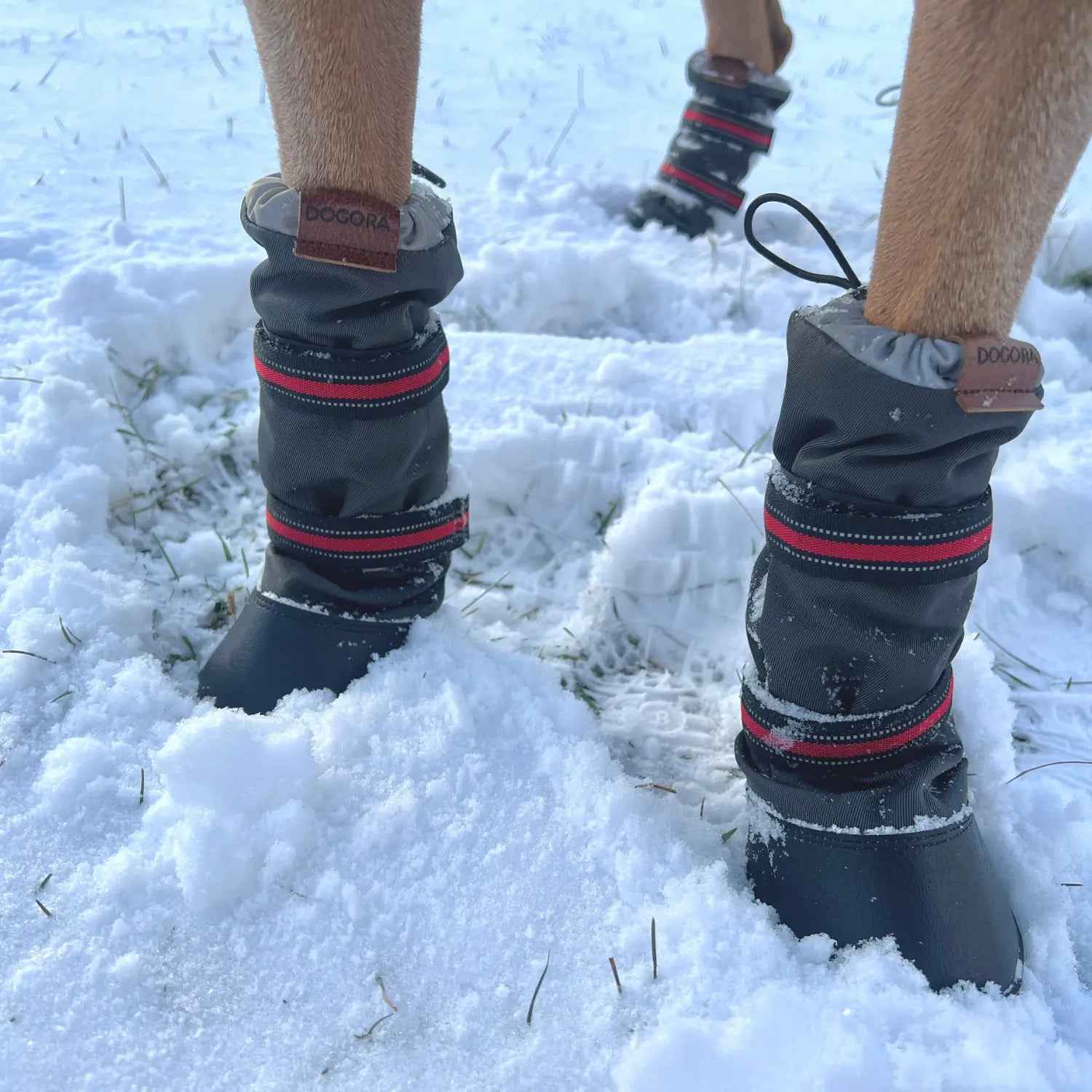 Dogora - High Top Boots "Stay-On" Technology Dogora