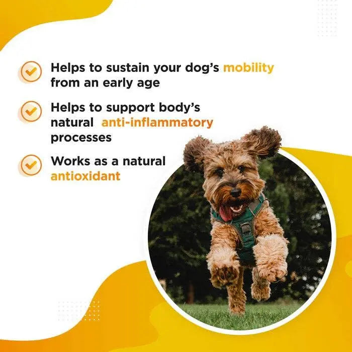 Dogs Loung - MERIC EXTRA – Advanced Turmeric Extract for Dogs - PAWMART.ca