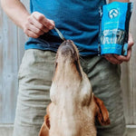 Dried Sardines 40g Only One Treats