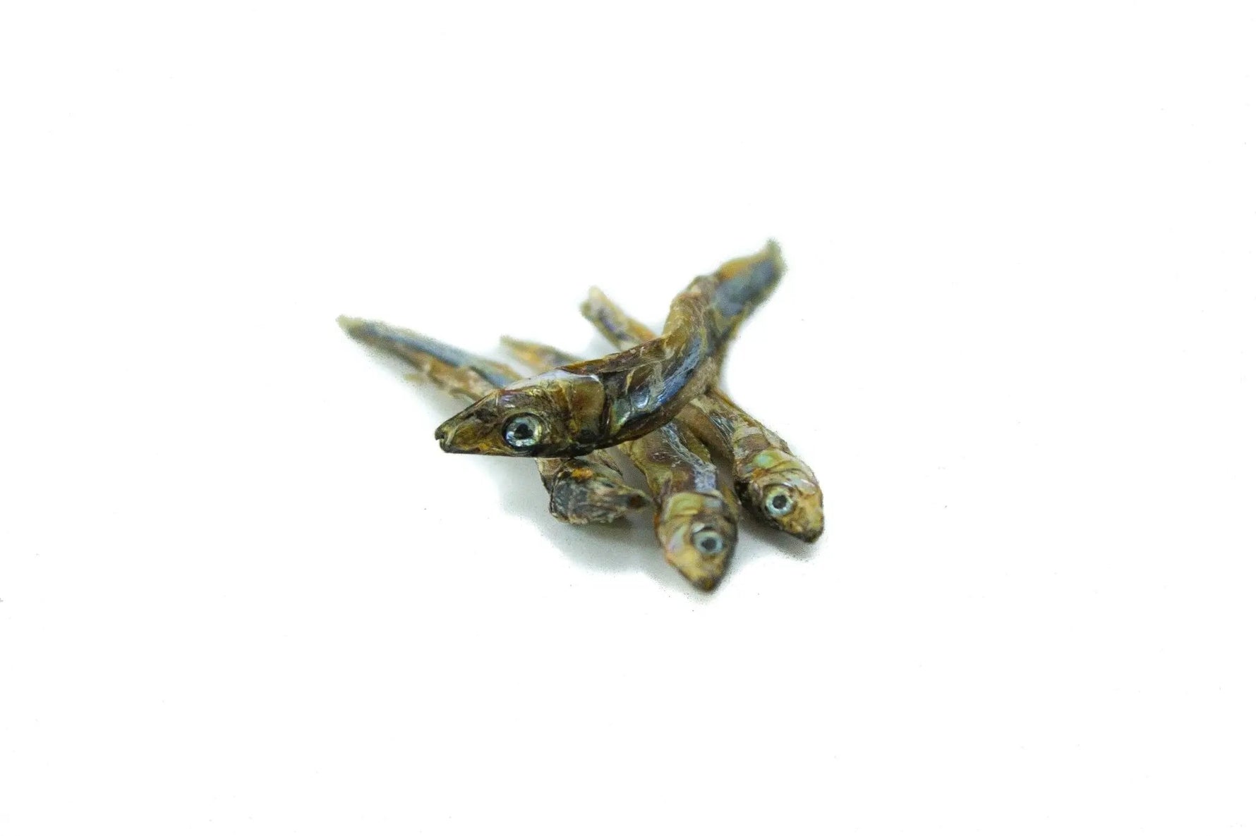 Dried Sardines 90g - Case of 12 Only One Treats