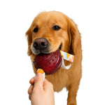 Durable Rubber Soccer Toy for Dogs (Red Color) Doge N Cate