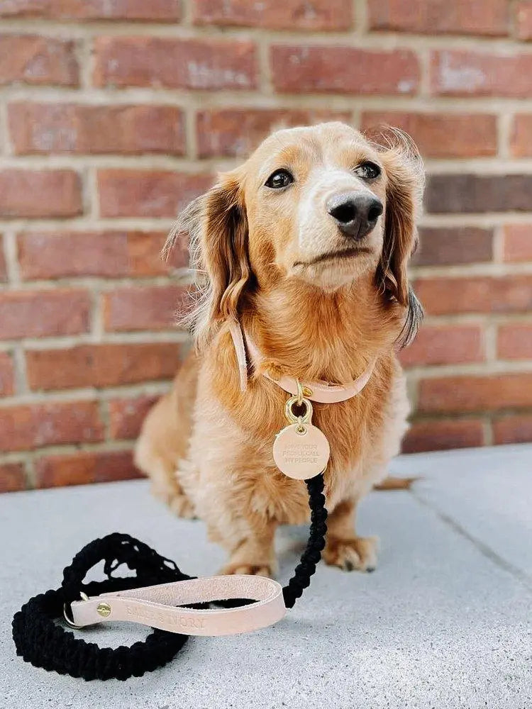 EMBER & IVORY - Macrame Leash - Ember - Spiral - Natural Leather Black Handle - PAWMART.ca