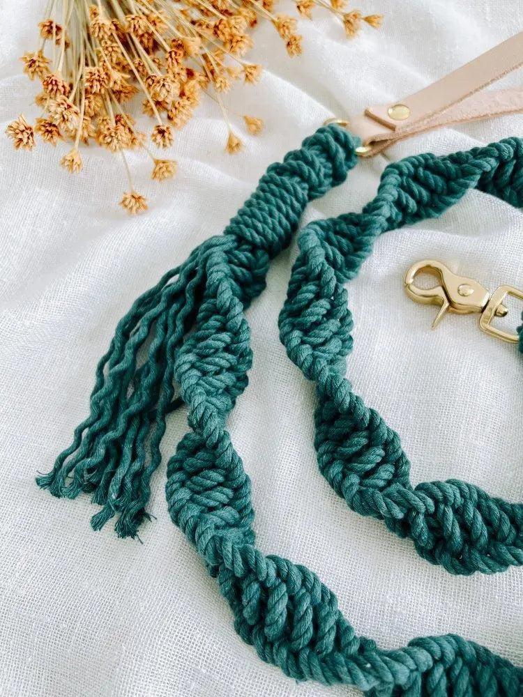 EMBER & IVORY - Macrame Leash - Jade - Spiral - Natural Leather Handle - PAWMART.ca