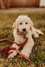 EMBER & IVORY - Macrame Leash - Rust - Spiral - Natural Leather Handle - PAWMART.ca