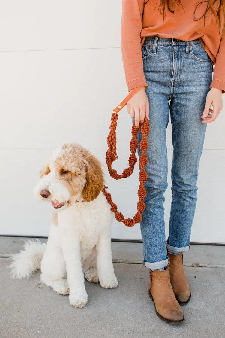 EMBER & IVORY - Macrame Leash - Rust - Spiral - Natural Leather Handle - PAWMART.ca