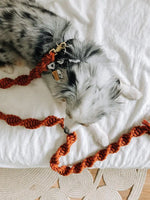 EMBER & IVORY - Macrame Leash - Rust - Spiral - Natural Leather Handle - PAWMART.ca