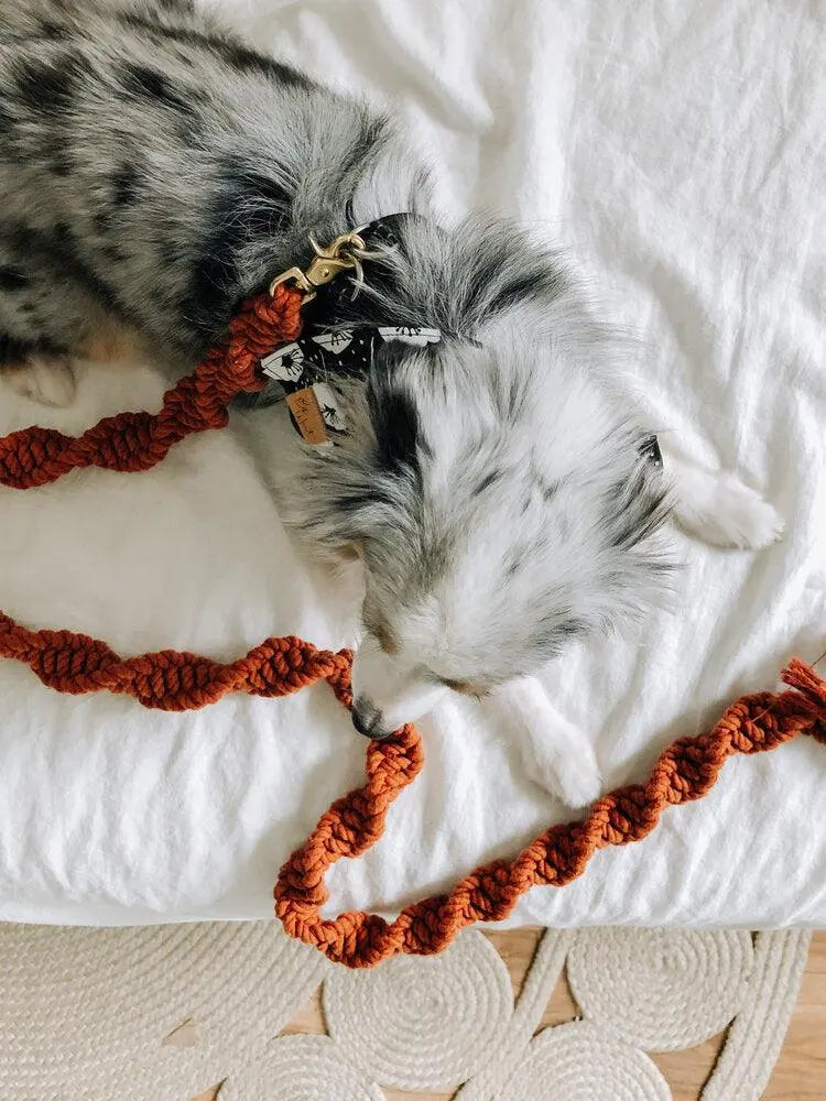 EMBER & IVORY - Macrame Leash - Rust - Spiral - Natural Leather Handle - PAWMART.ca